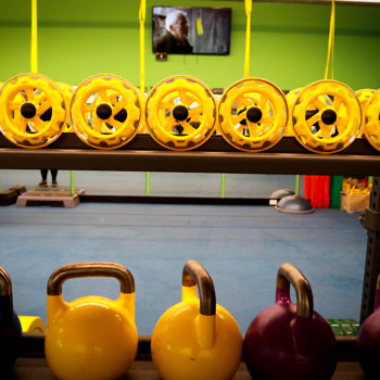 weight equipment inside the fitness gym