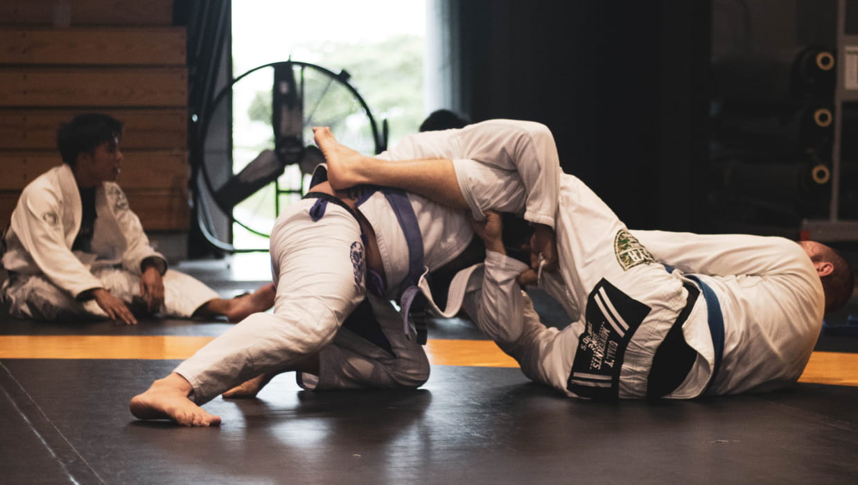 Wellington’s Judo Star